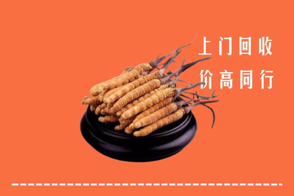 收购行情：白城镇赉县回收散虫草