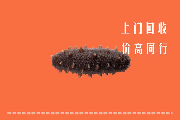 白城镇赉县回收海参