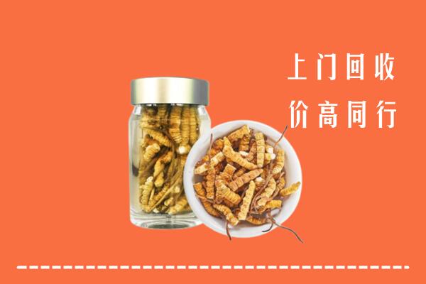 白城镇赉县回收冬虫夏草